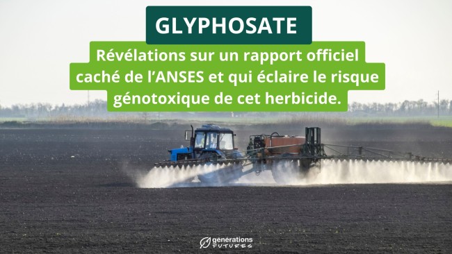 Glyphosate : Révélations sur un rapport officiel caché de l’ANSES et qui éclaire le risque génotoxique de cet herbicide.