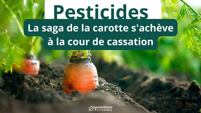 Pesticides : La saga de la carotte s’achève à la cour de cassation