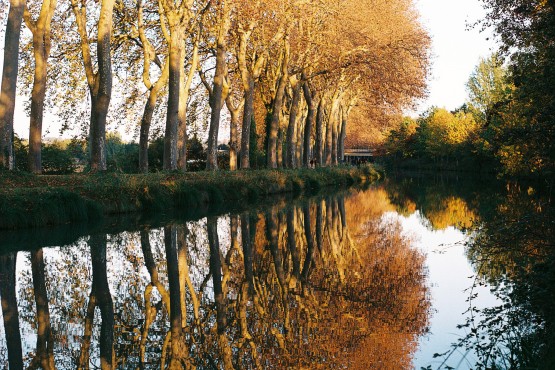 Milieux pollués