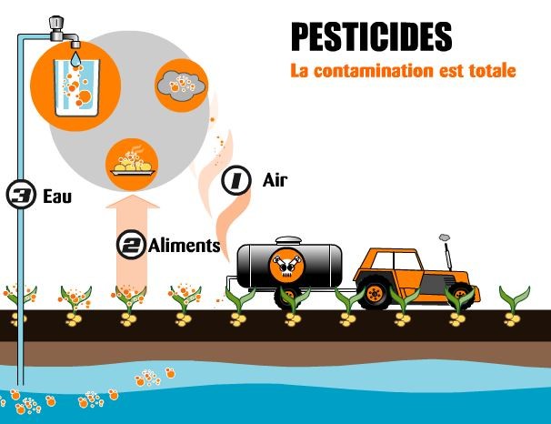 Topic des mauvaise nouvelles e - Page 21 Residus_pesticides-tt-width-606-height-466-fill-0-crop-0-bgcolor-eeeeee