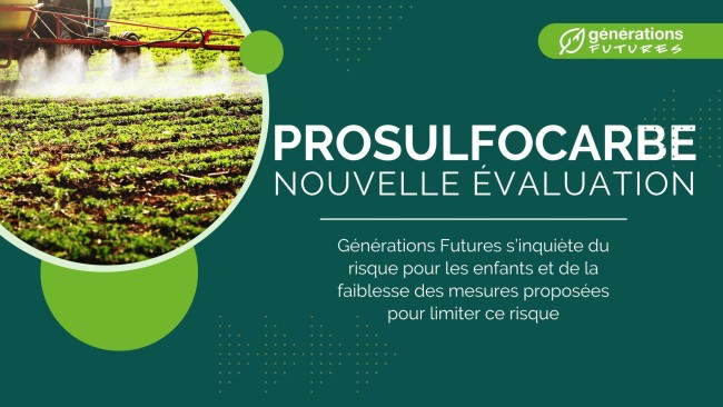 Prosulfocarbe : Générations Futures prend acte des mesures de gestion proposées par l’ANSES mais s’inquiète de leur réelle efficacité !