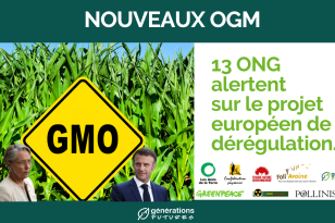 Nouveaux OGM : 13 organisations alertent le président de la République et la Première ministre sur le projet européen de dérégulation.