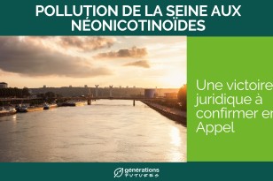 Pollution de la Seine au néonicotinoïdes : une victoire  juridique à confirmer en Appel