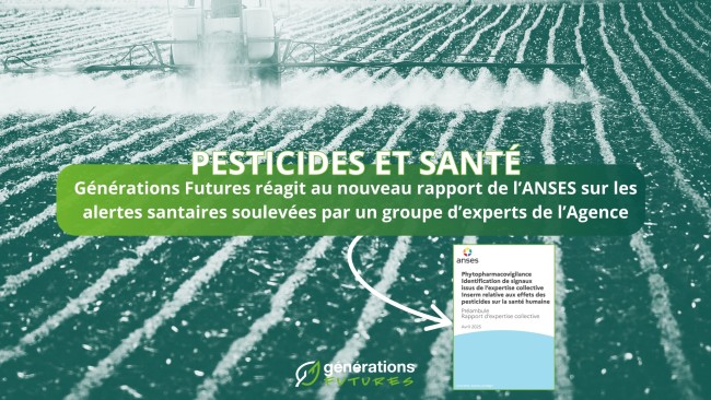 Pyréthrinoïdes et autres pesticides : des signaux d’alerte clairs sur la santé, Générations Futures demande des actions immédiates