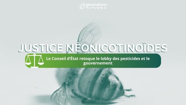 Néonicotinoïdes : le Conseil d’État retoque le lobby des pesticides et le gouvernement