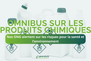 Omnibus sur les produits chimiques : nos ONG alertent sur les risques pour la santé et l’environnement