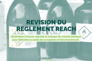 La révision nécessaire du règlement REACH sur les produits chimiques encore retardée